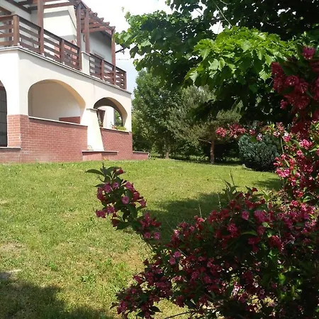 Apartament Modor *